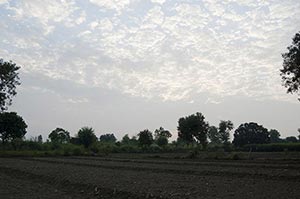 Absence ; Agriculture ; Beauty In Nature ; Cloud ;