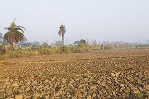 Absence ; Agriculture ; Clay ; Color Image ; Creat