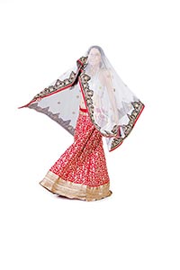Indian Beautiful Woman Fashion Designer Saree Glam