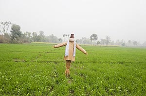 Absence ; Agriculture ; Anticipation ; Color Image