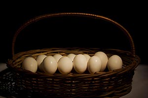 Abundance ; Arranging ; Basket ; Black background 