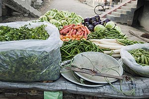 Abundance ; Alley ; Arranging ; Assortment ; Cart 