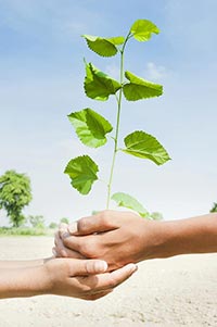 2 People ; Agriculture ; Caring ; Close-Up ; Color