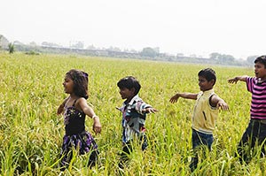 3-5 People ; Agriculture ; Arms Outstretched ; Bon