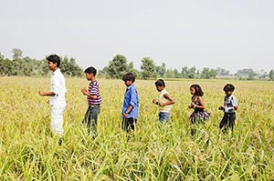 Agriculture ; Beauty In Nature ; Bonding ; Boys ; 