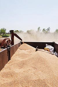 Agriculture ; Color Image ; Combine ; Container ; 