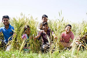 Agriculture ; Bending ; Boys ; Casual Clothing ; C