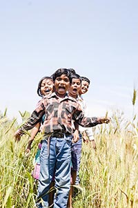 Agriculture ; Boys ; Casual Clothing ; Cheering ; 