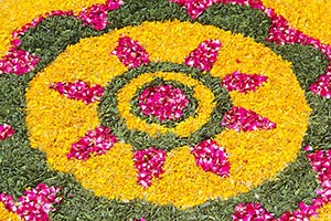 Diwali Flower Rangoli Nobody