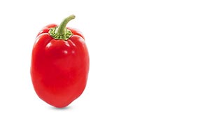 Capsicum ; Close-Up ; Color Image ; Copyspace ; Cr