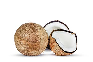 Breaking ; Close-Up ; Coconut ; Color Image ; Copy