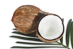 Bowl ; Breaking ; Close-Up ; Coconut ; Color Image