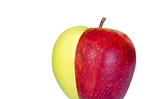 Apple ; Bizarre ; Bonding ; Close-Up ; Color Image