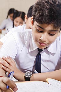 School Boy Student Studying