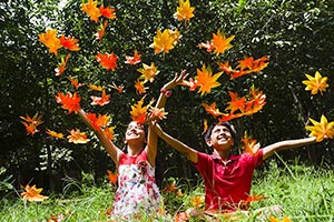 2 People ; Abundance ; Arms Raised ; Autumn ; Bond