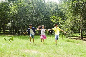 3-5 People ; Arms Outstretched ; Bonding ; Boys ; 