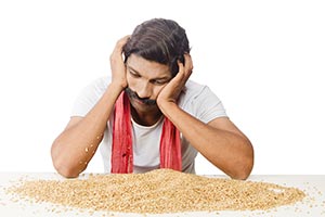 Farmer Wheat Loss Stress