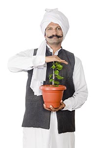 Indian Farmer Safe Plant-life
