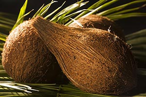 Background ; Close-Up ; Coconut ; Color Image ; Ex