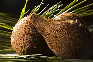 Background ; Close-Up ; Coconut ; Color Image ; Ex