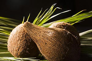 Black Background ; Close-Up ; Coconut ; Color Imag