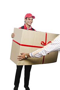 Female Delivery Service Delivering Package Costume