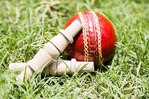 Background ; Bails ; Ball ; Close-Up ; Color Image