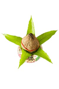 Celebrations ; Ceremony ; Close-Up ; Coconut ; Col