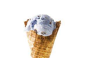 Blueberry ; Close-Up ; Color Image ; Cone ; Copysp
